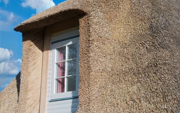 Conicavel thatch roof disadvantages